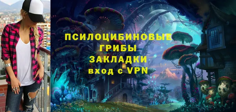 Галлюциногенные грибы Psilocybe  как найти закладки  Сергач 